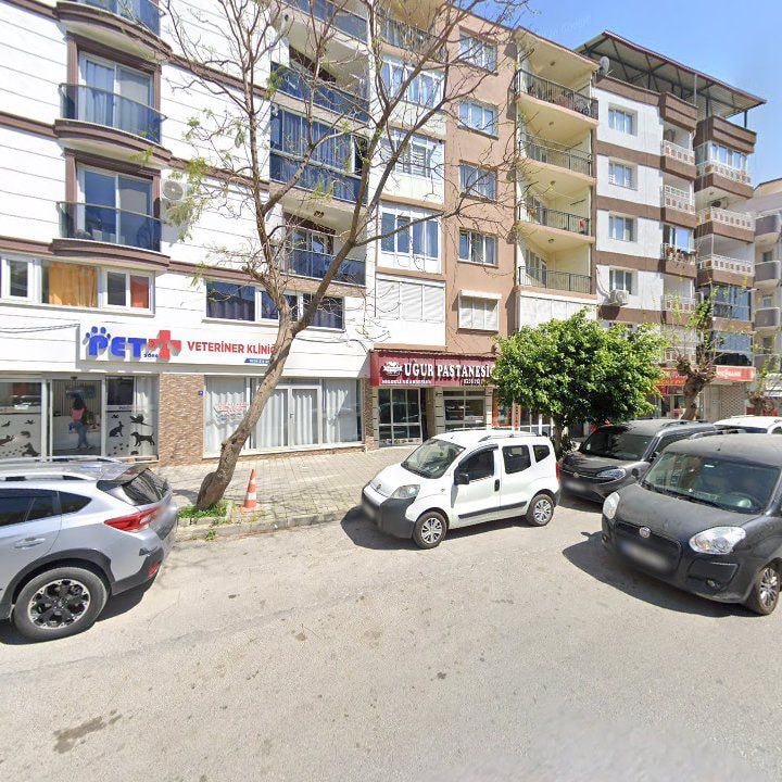 Fotoğraf 2