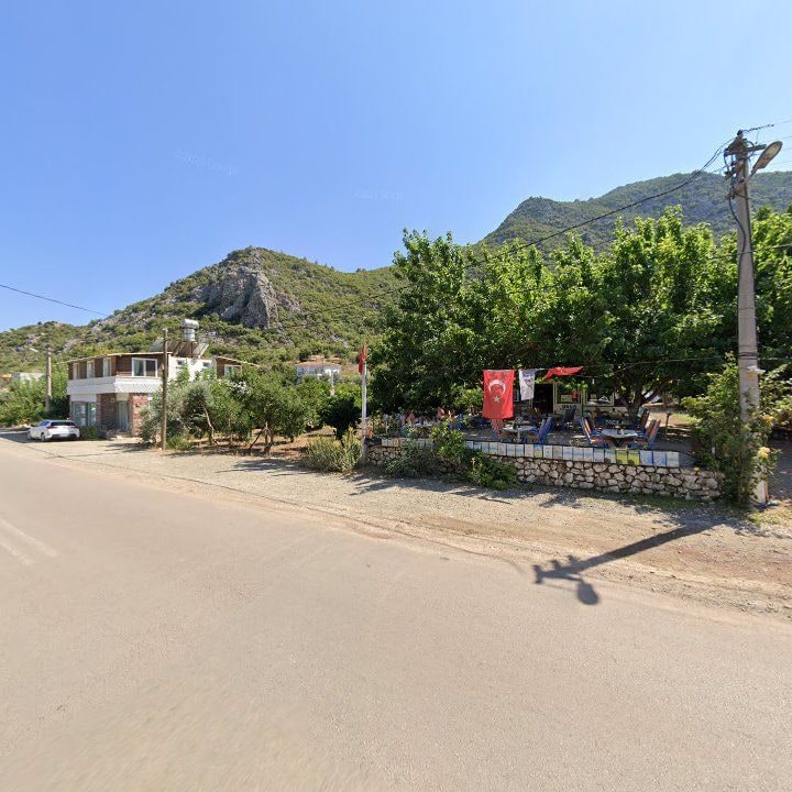 Fotoğraf 10