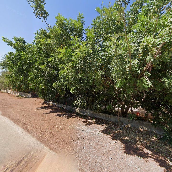 Fotoğraf 12