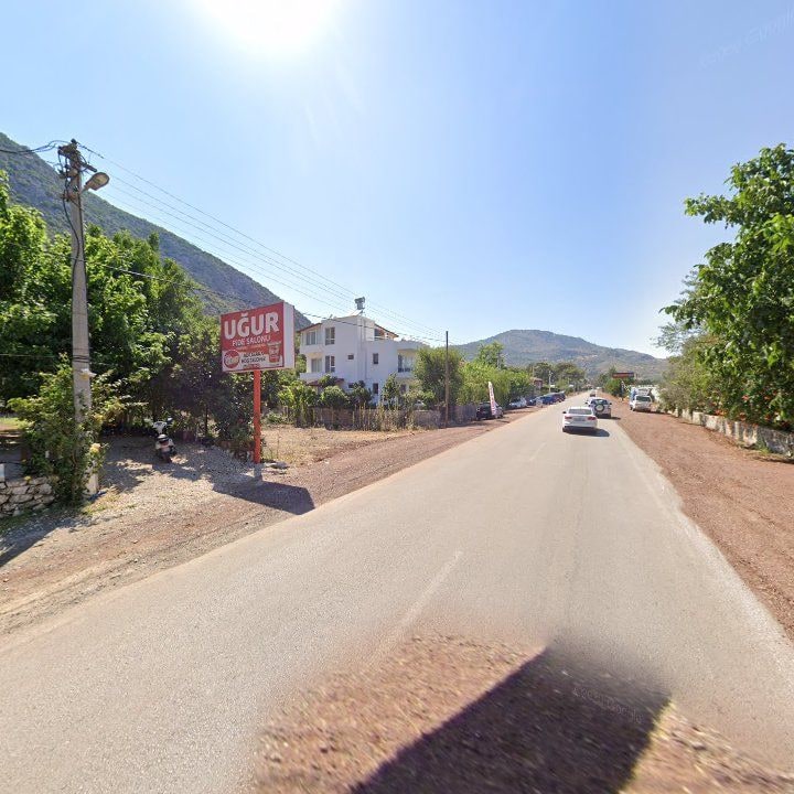 Fotoğraf 11