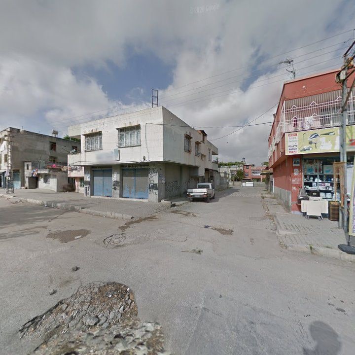 Fotoğraf 6