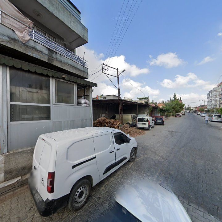 Fotoğraf 7