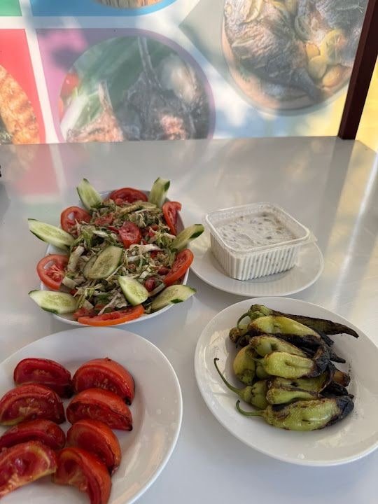 Fotoğraf 3