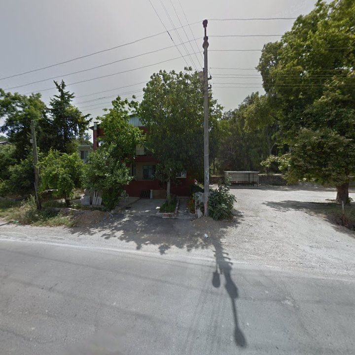 Fotoğraf 4