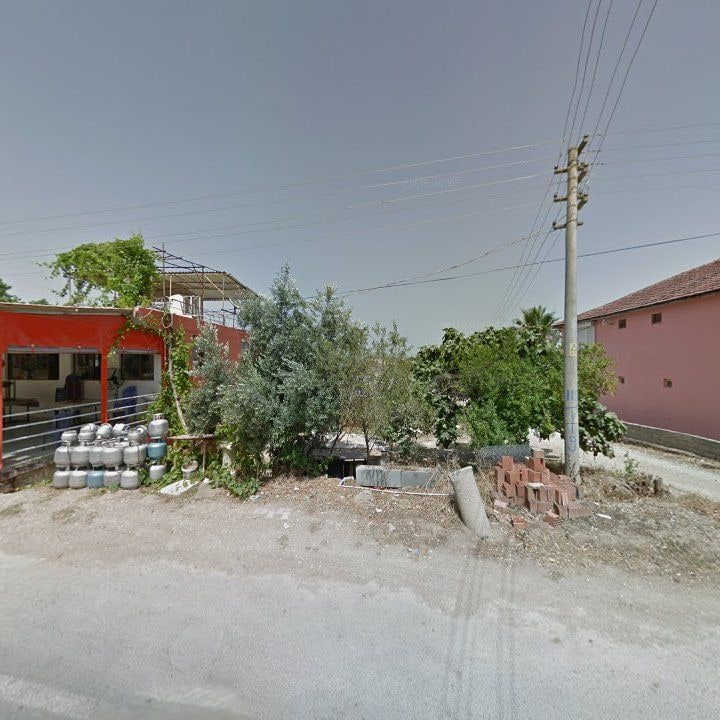 Fotoğraf 6