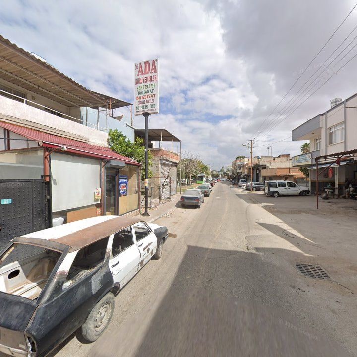 Fotoğraf 6