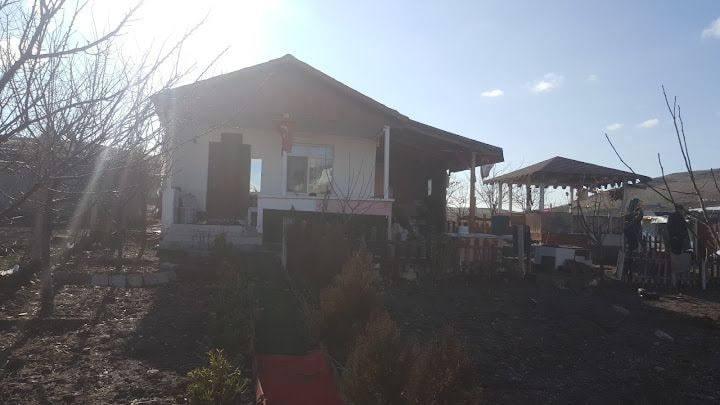 Ulu Şefin Bahcesı
