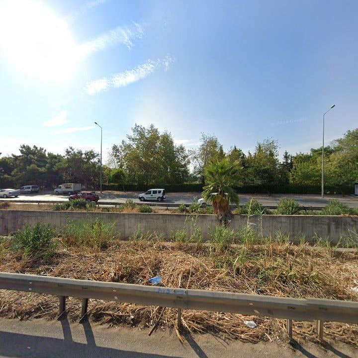Fotoğraf 6
