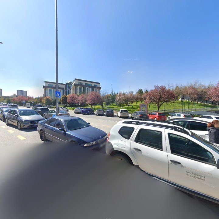 Fotoğraf 11