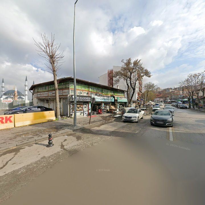 Fotoğraf 11