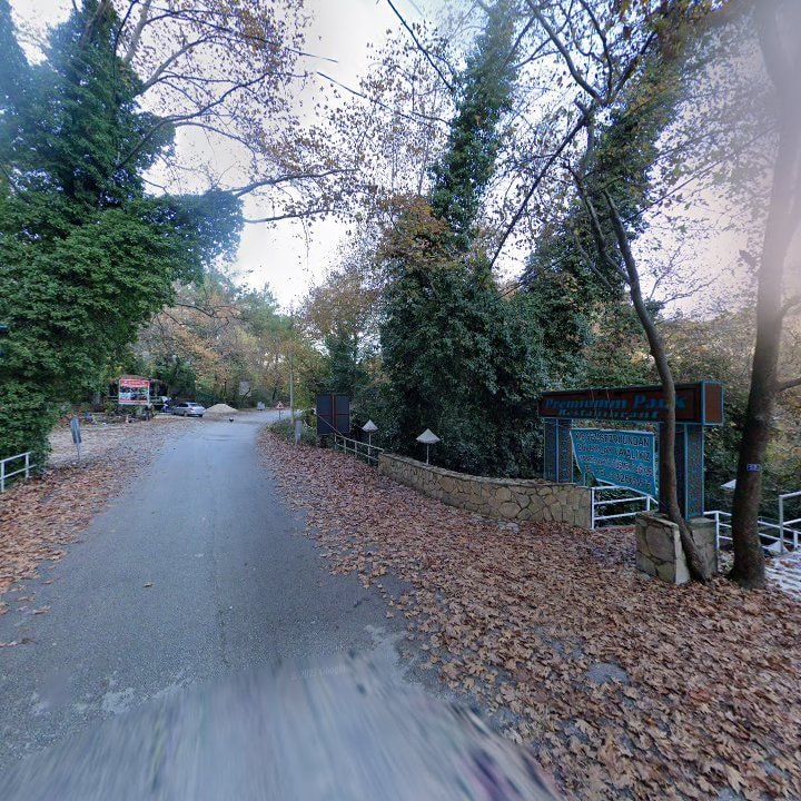 Fotoğraf 14