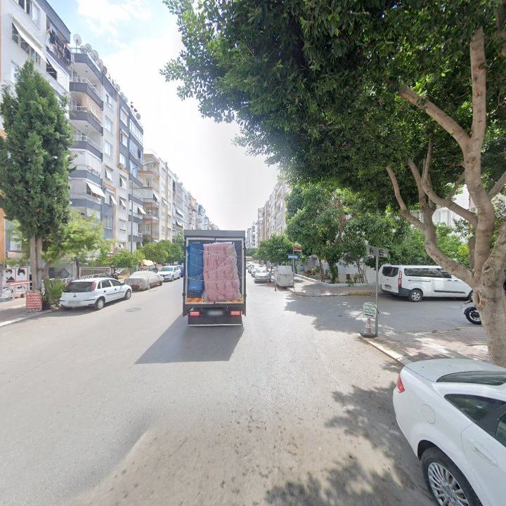 Fotoğraf 7