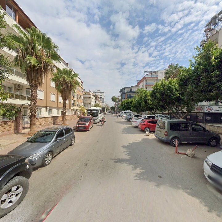 Fotoğraf 8