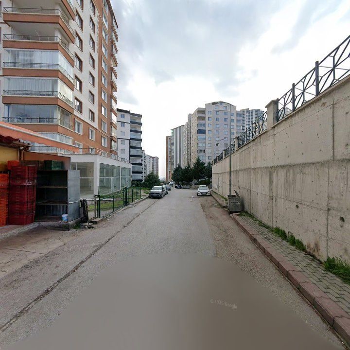 Fotoğraf 3