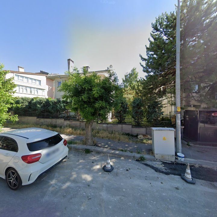 Fotoğraf 10