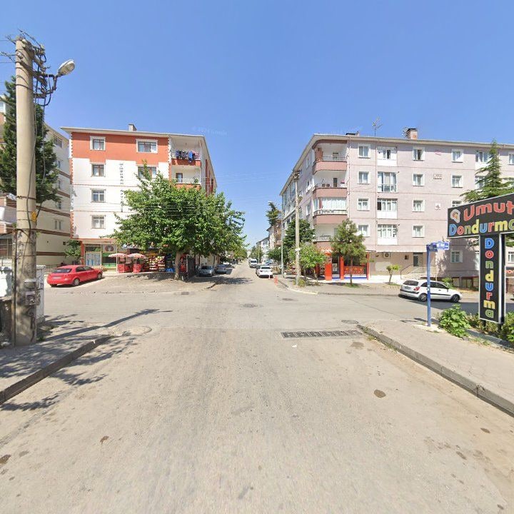 Fotoğraf 9