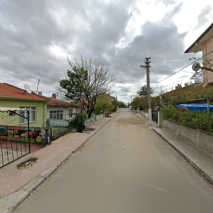 Fotoğraf 6
