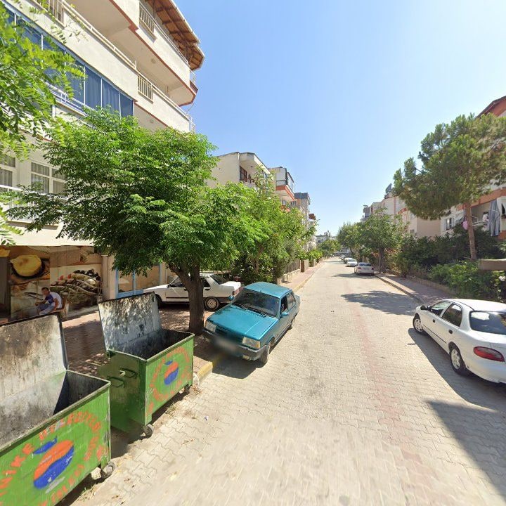 Fotoğraf 8