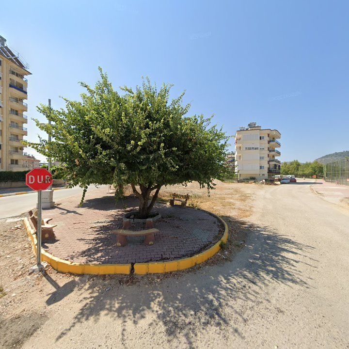 Fotoğraf 10