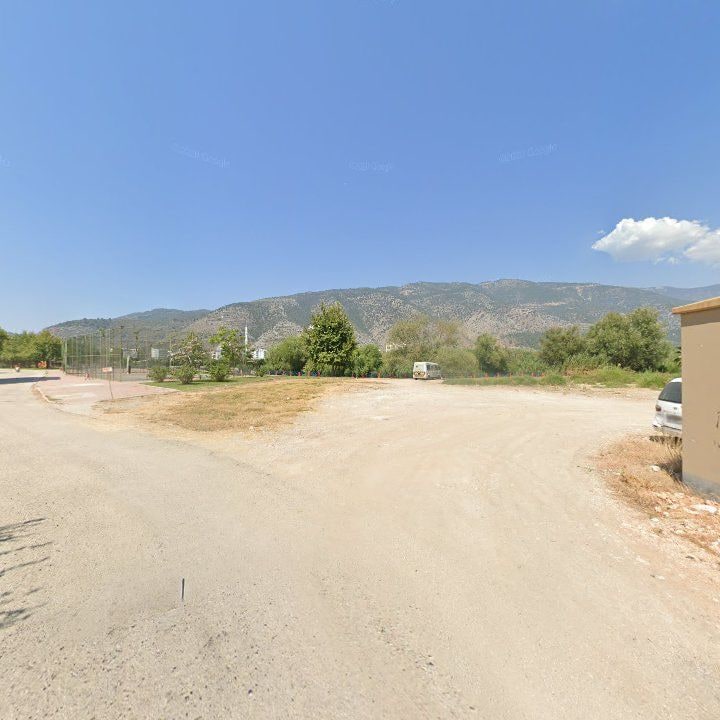 Fotoğraf 11