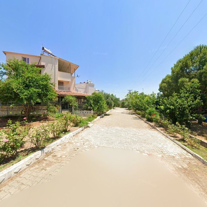 Fotoğraf 11