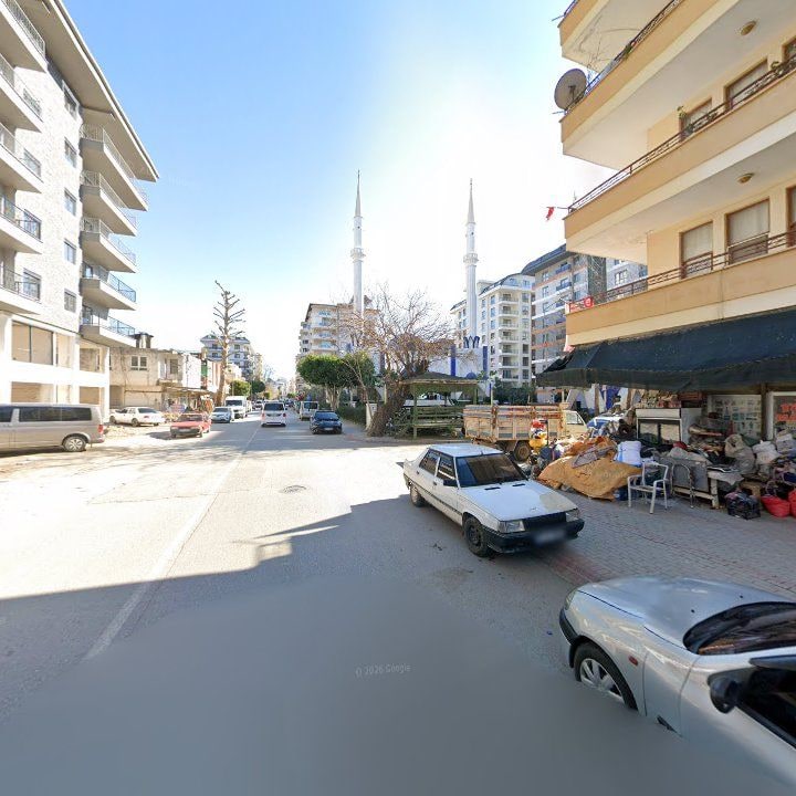 Fotoğraf 8