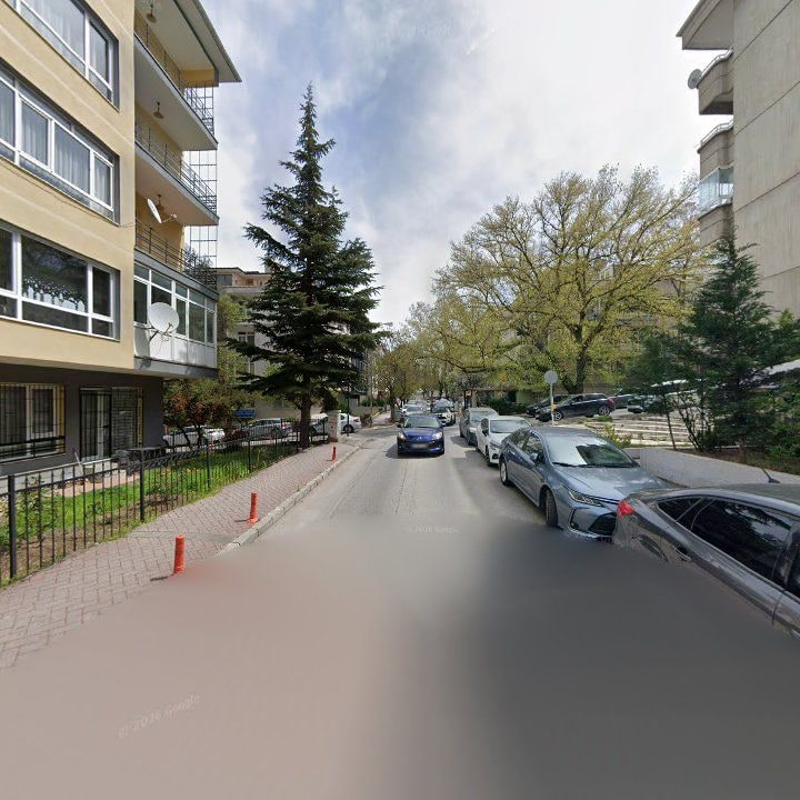 Fotoğraf 16