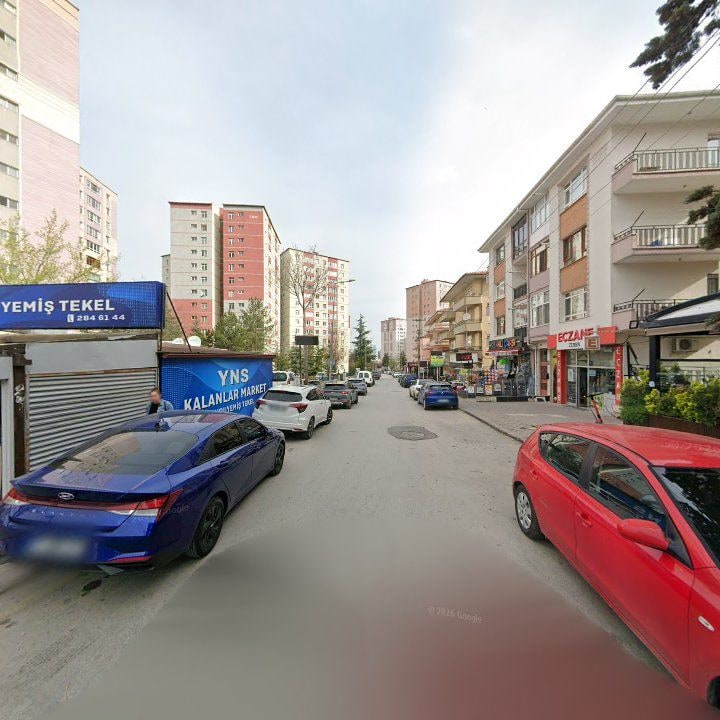 Fotoğraf 12