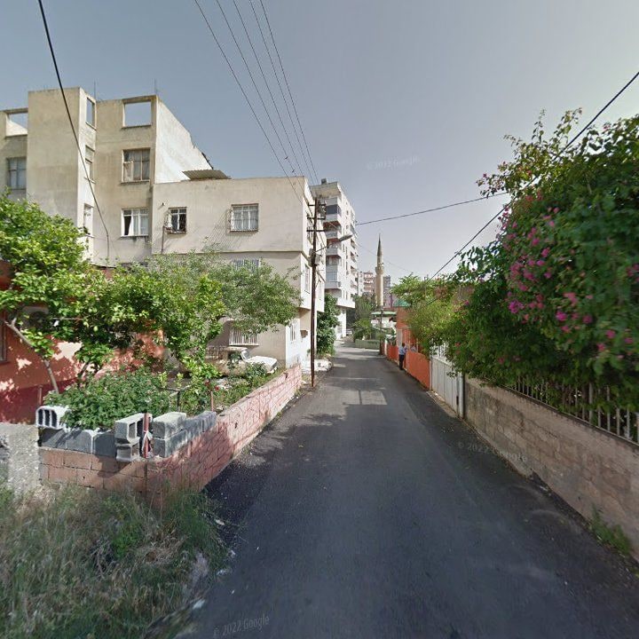 Fotoğraf 7