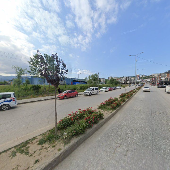 Fotoğraf 9
