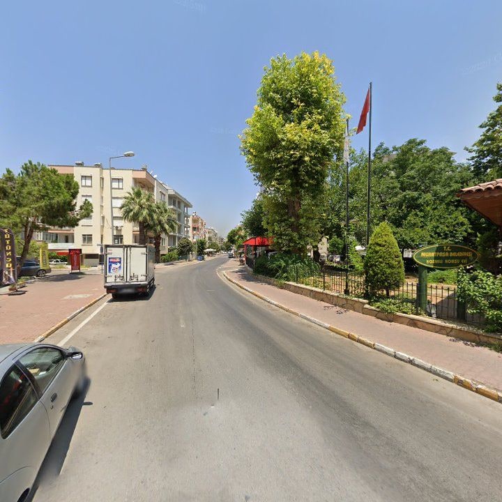 Fotoğraf 7