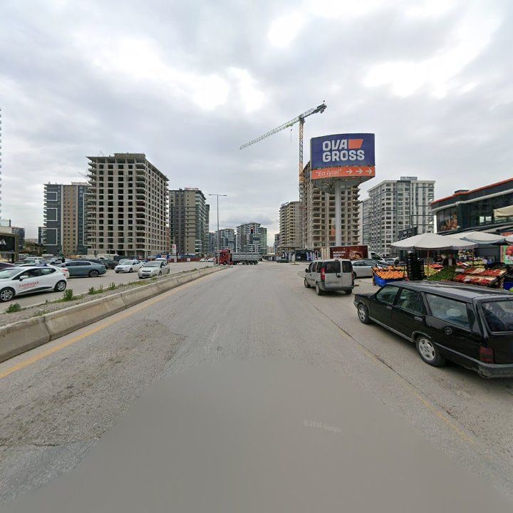 Fotoğraf 10