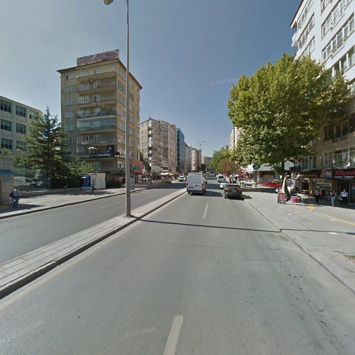 Fotoğraf 11
