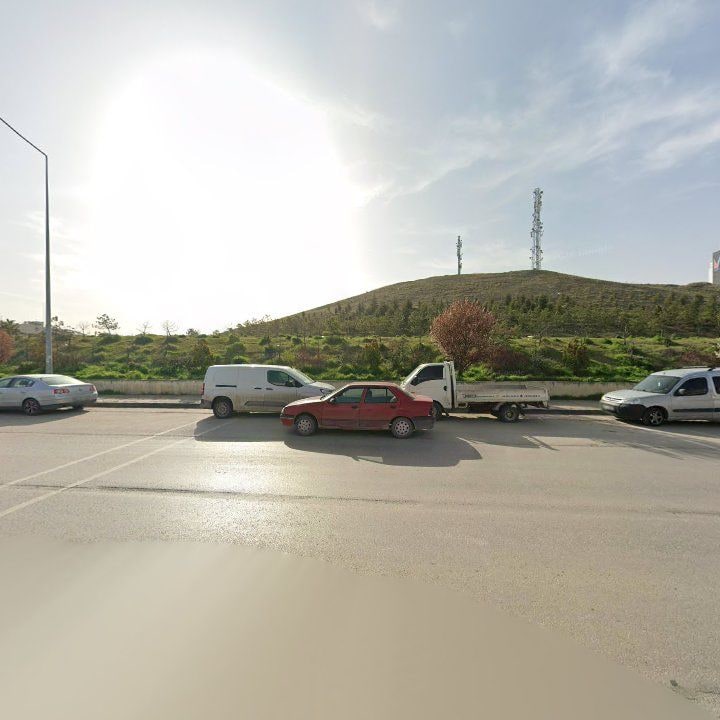 Fotoğraf 8