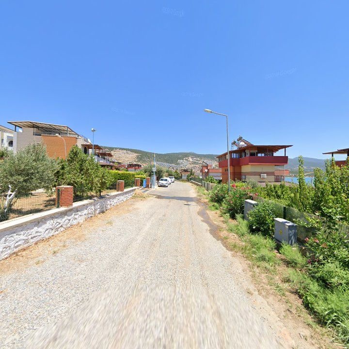 Fotoğraf 10