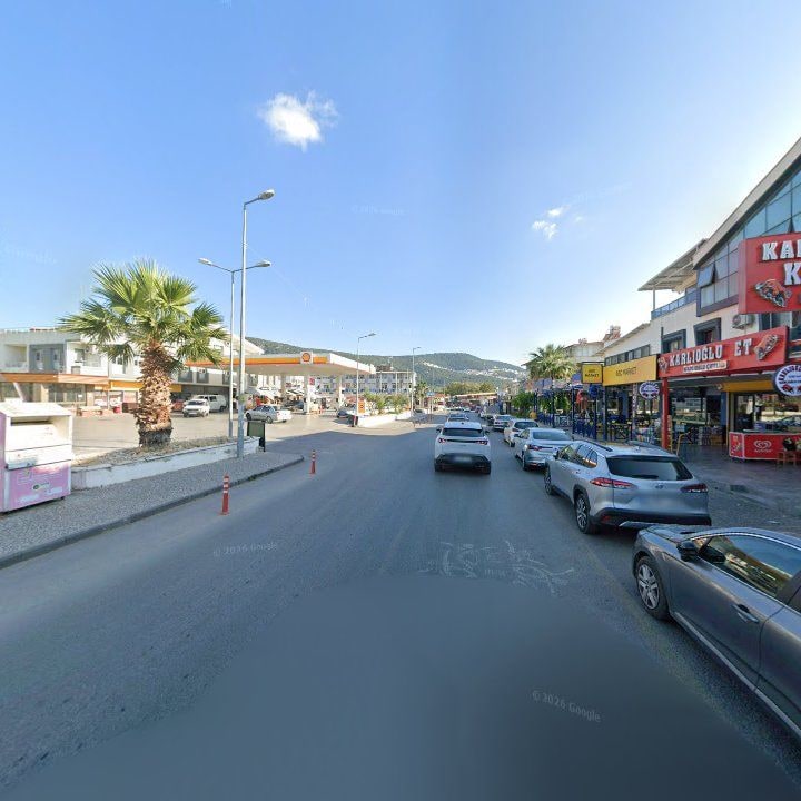 Fotoğraf 8