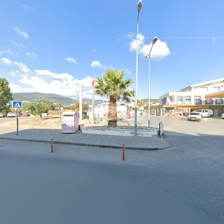 Fotoğraf 8