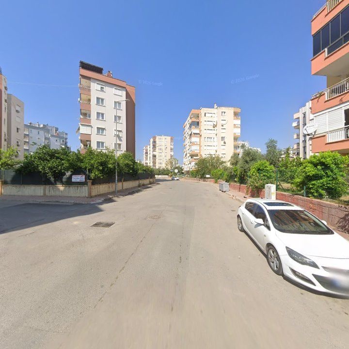 Fotoğraf 11