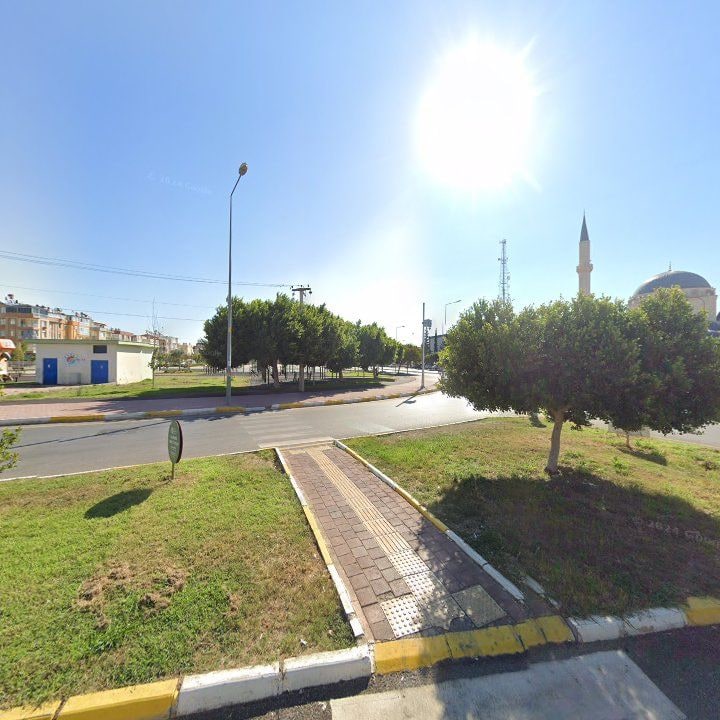 Fotoğraf 9