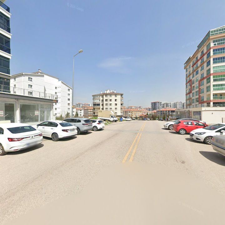 Fotoğraf 9