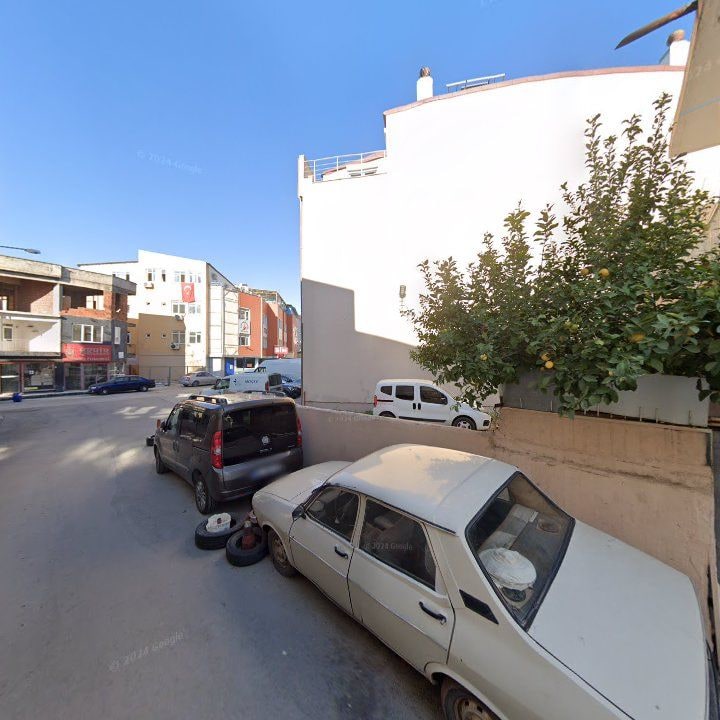 Fotoğraf 10