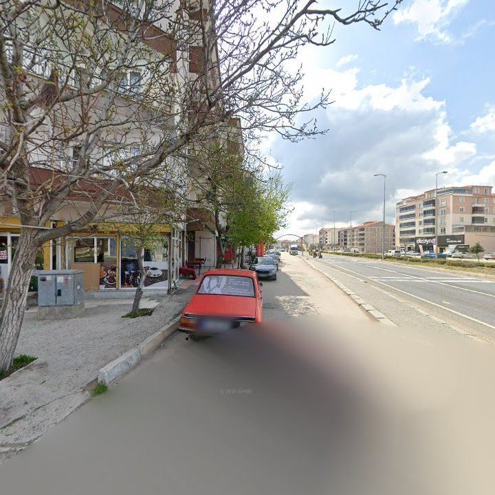 Fotoğraf 7