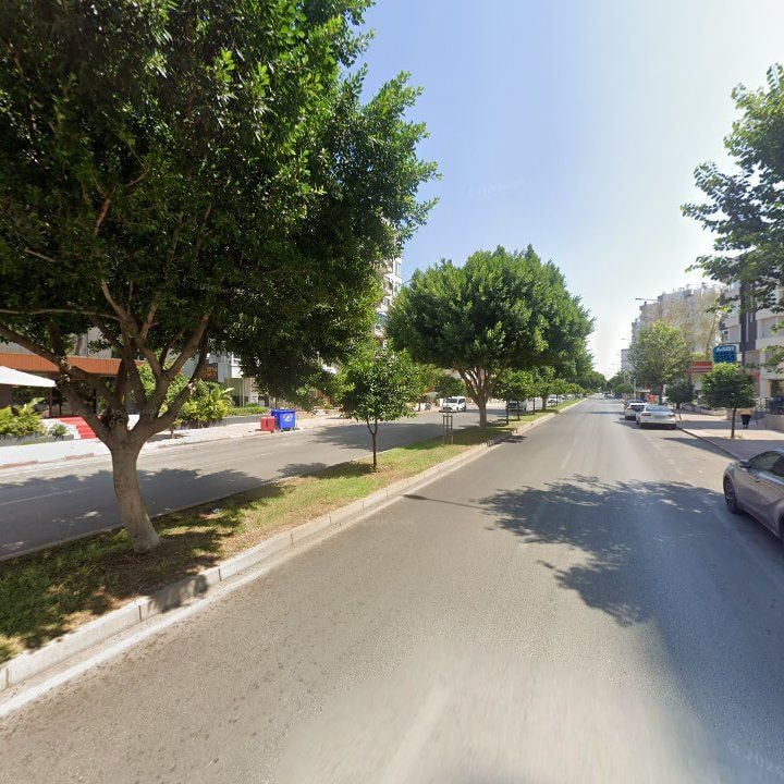Fotoğraf 10