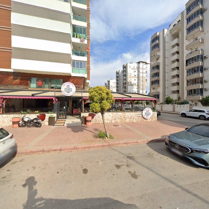 Fotoğraf 15