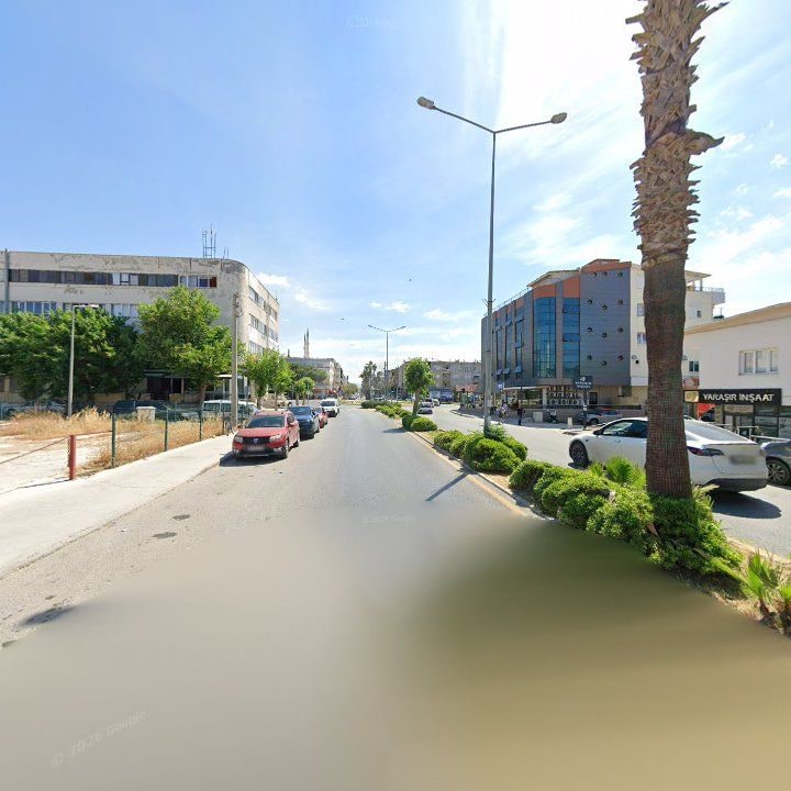 Fotoğraf 11