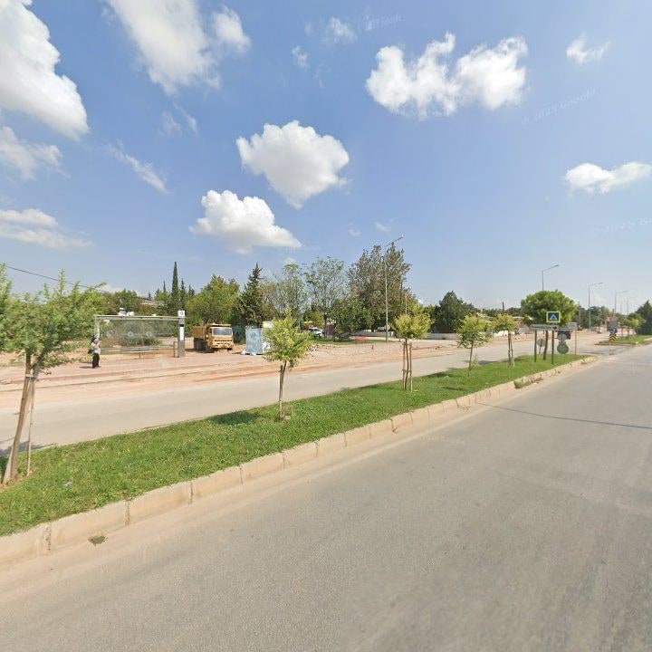 Fotoğraf 6