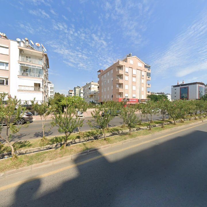 Fotoğraf 13