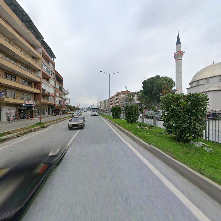 Fotoğraf 8