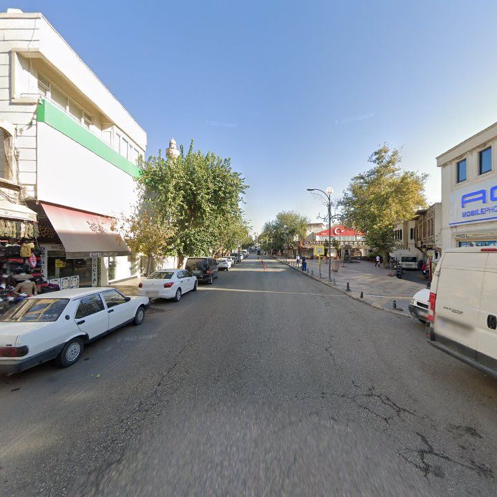 Fotoğraf 9