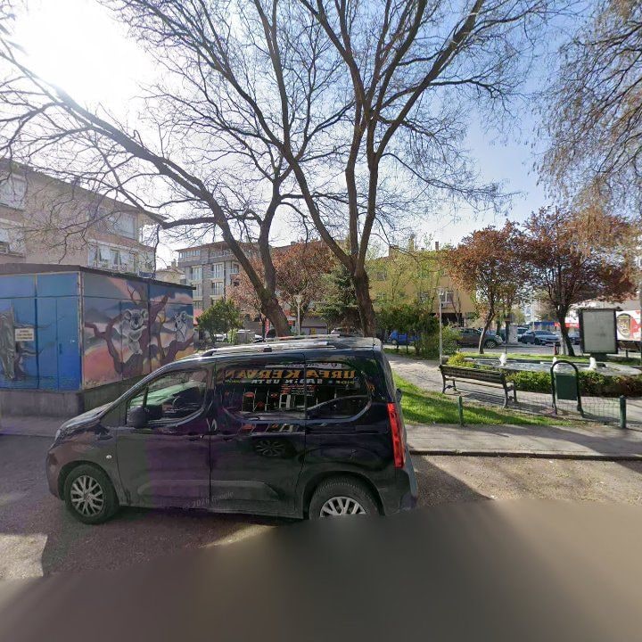 Fotoğraf 7